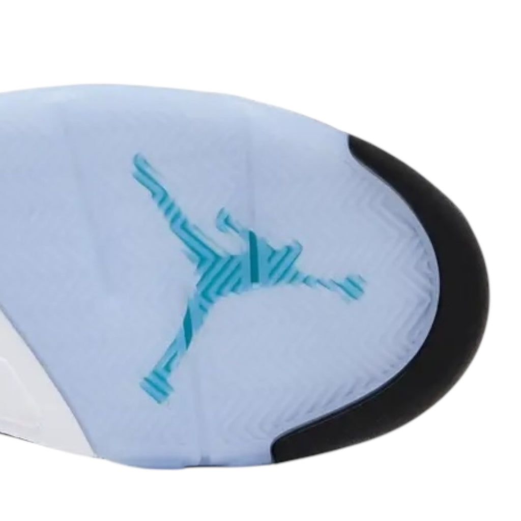 Jordan 5 Retro Grape (2025)