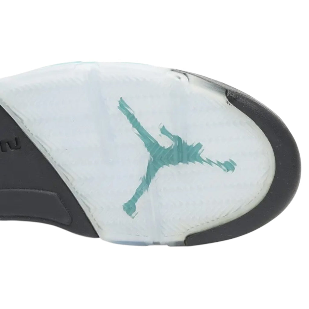 Jordan 5 Retro Black Grape (2013)